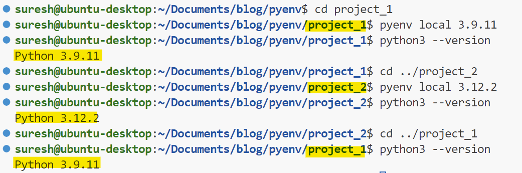 Managing Multiple Python Versions with pyenv