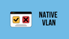 What is a Native VLAN and how does it work?