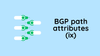 BGP Path Attributes Overview (IX)