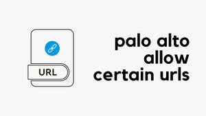 Palo Alto Allow Access To Certain URLs Matching A Blocked URL Category