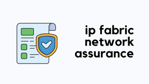 My Experience with IP Fabric Automated Network Assurance Platform