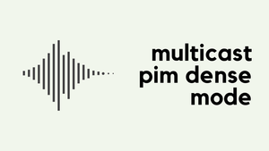 Multicast PIM Dense Mode (III)