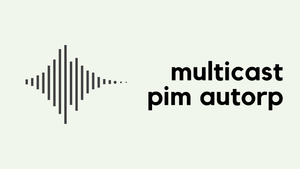 Multicast PIM Auto RP (V)